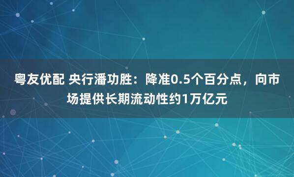 粤友优配 央行潘功胜：降准0.5个百分点，向市场提供长期流动性约1万亿元